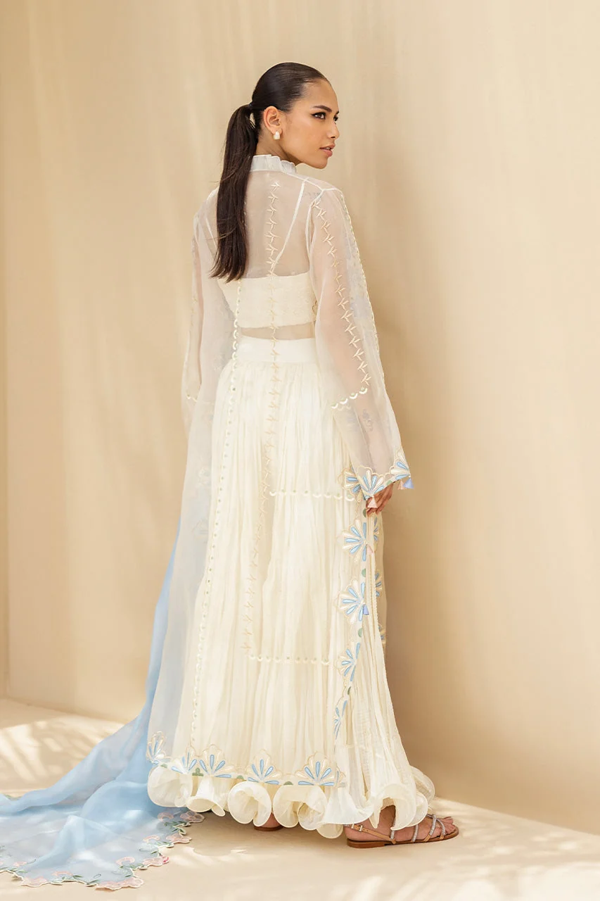 Amyna - Image 3