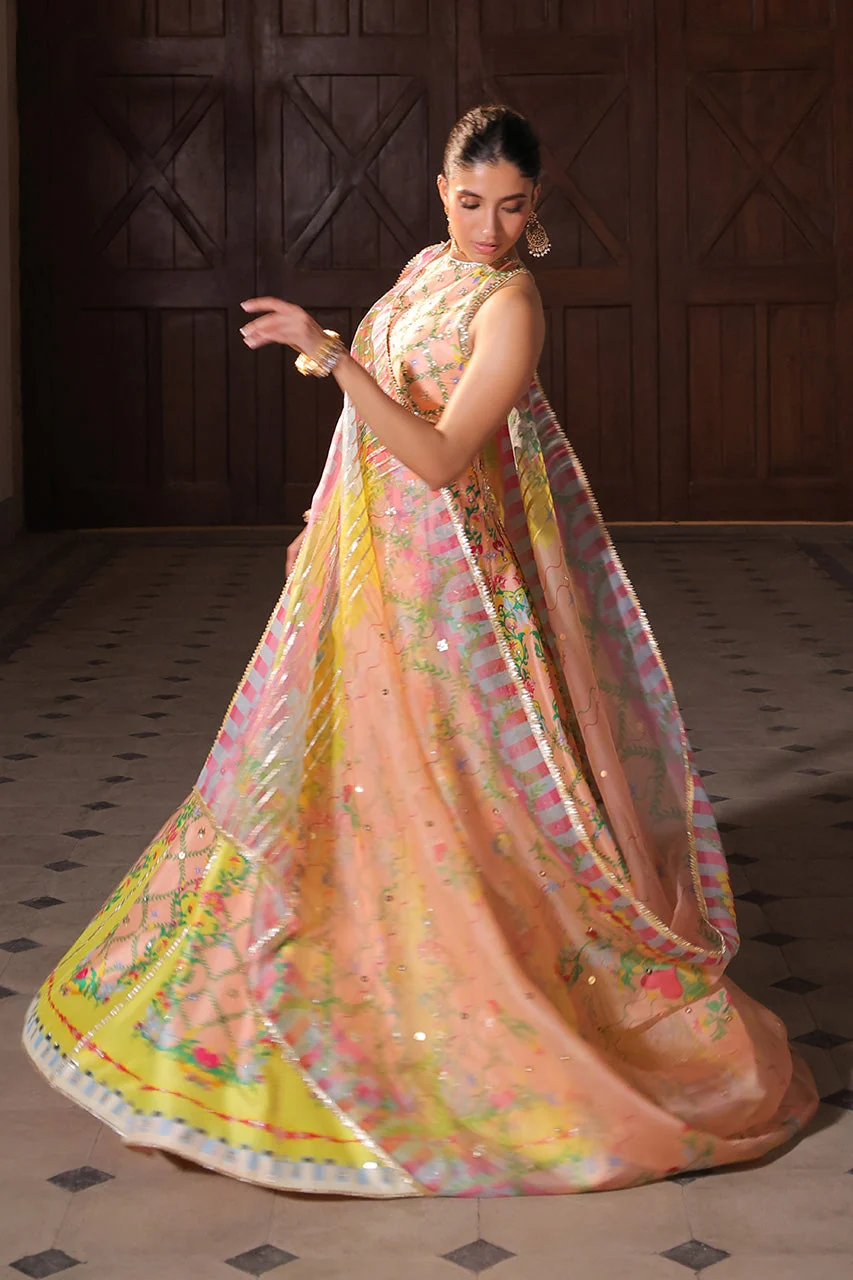 Feza - Image 3