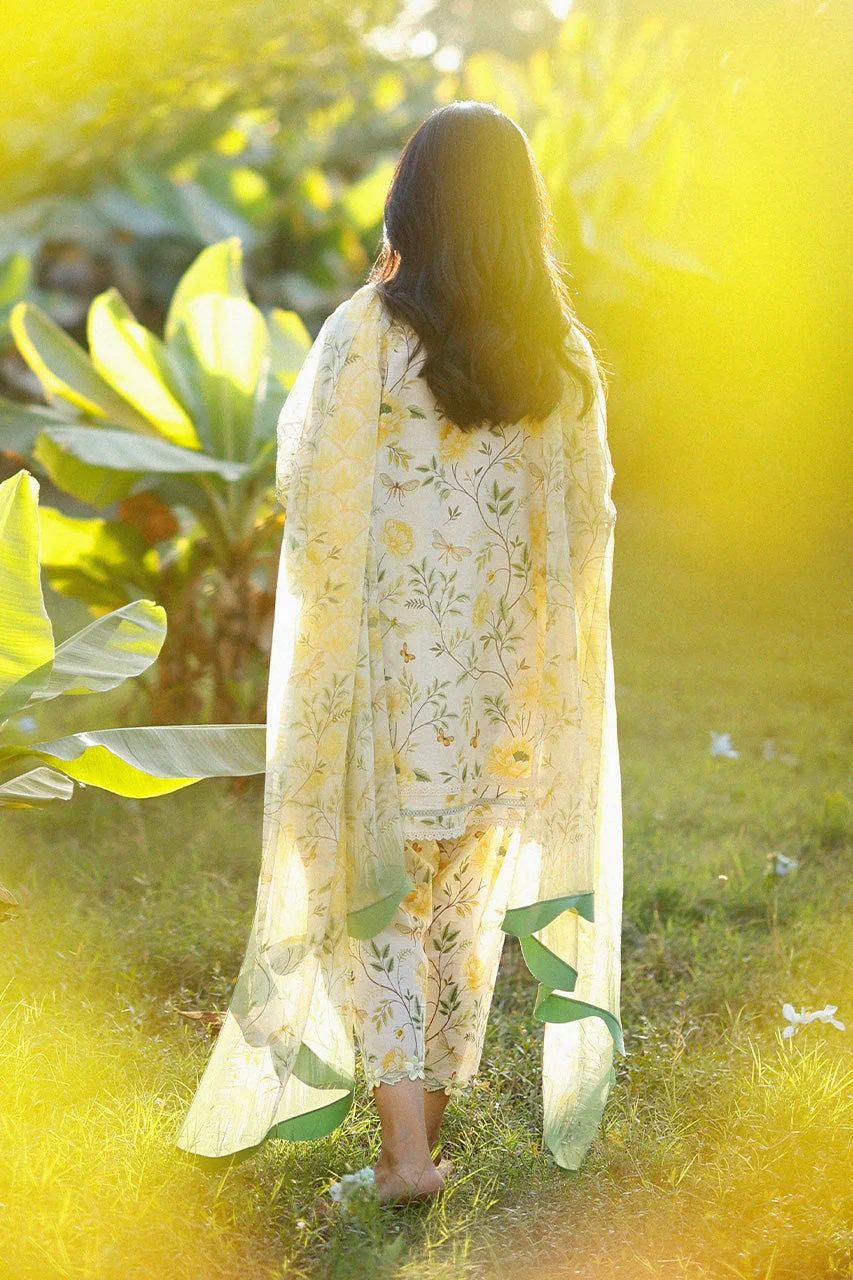 Lulu (A) - Image 4