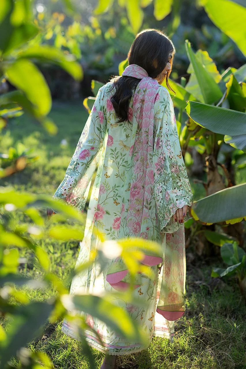 Lulu (B) - Image 6