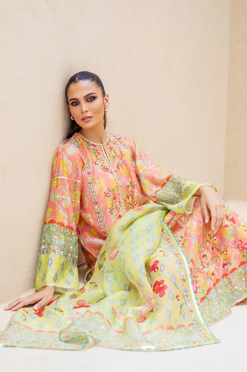 Avani - Image 2